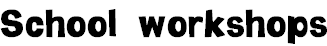 School workshops